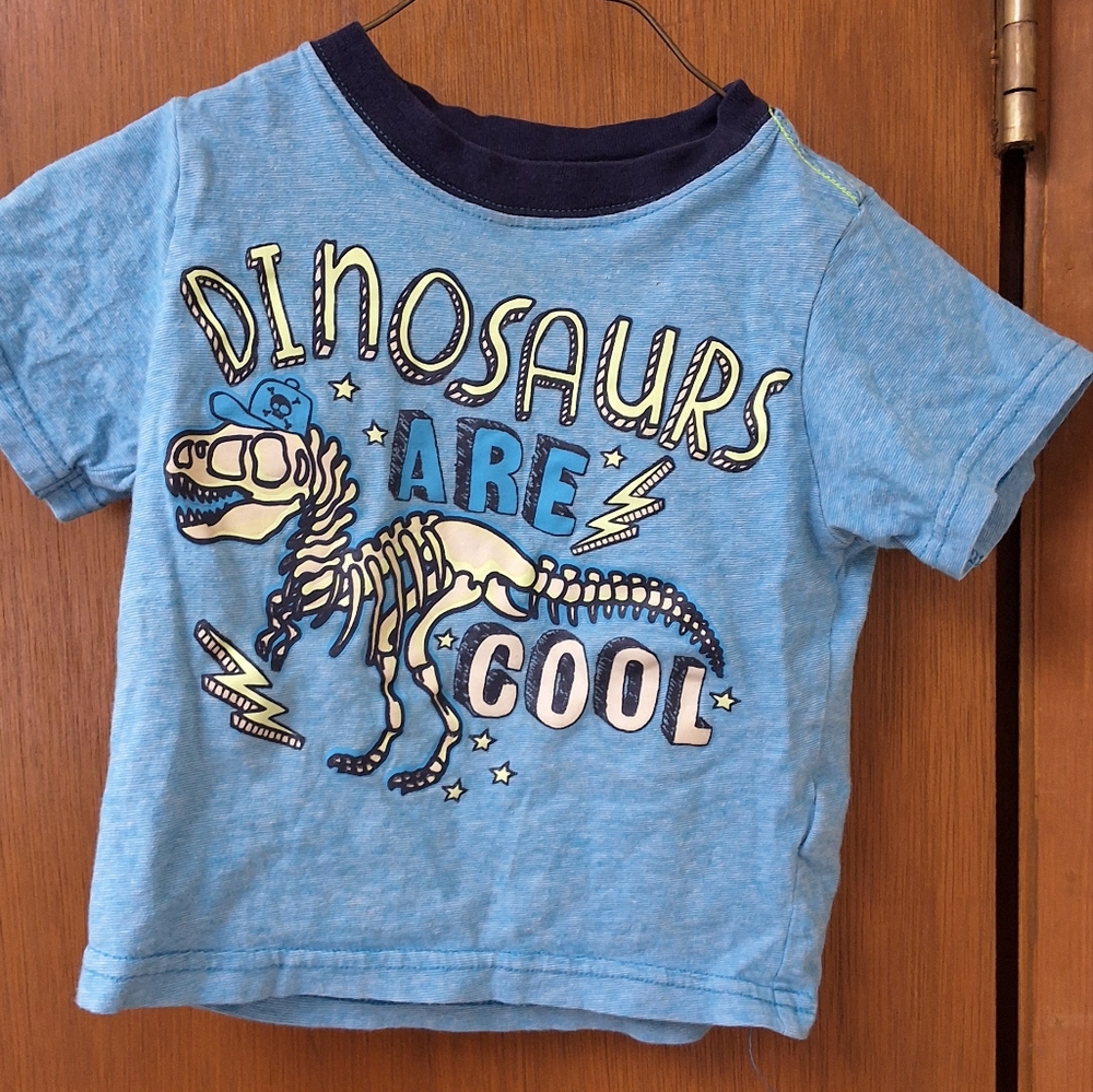 Blue Dinosaur Graphic Kids T-Shirt